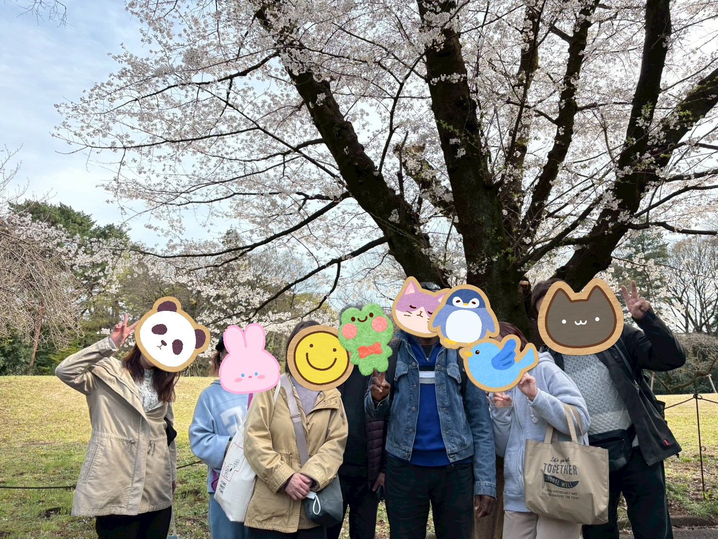 お花見